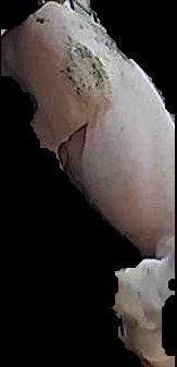 Crop