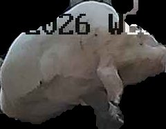 Crop