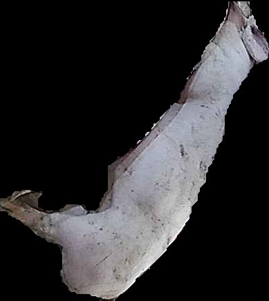 Crop