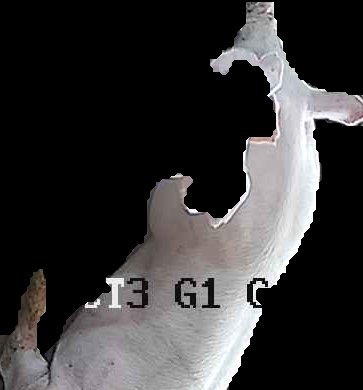 Crop