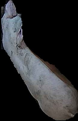 Crop