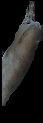 Crop