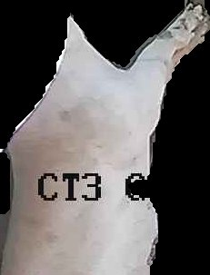 Crop