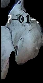 Crop