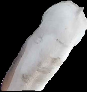 Crop