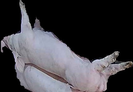 Crop