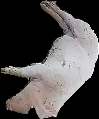 Crop