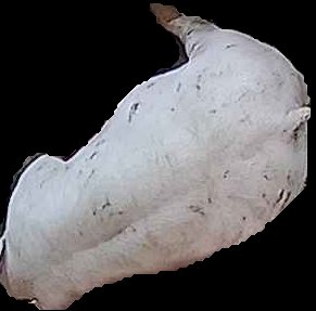 Crop