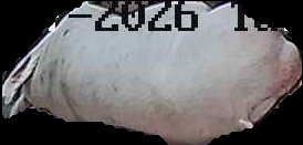 Crop