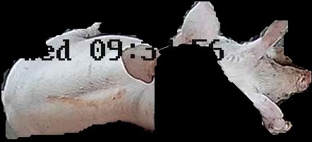 Crop