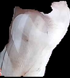 Crop