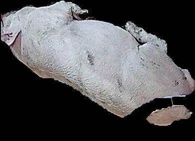 Crop