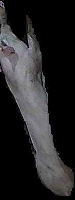 Crop
