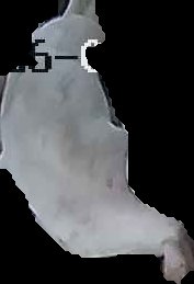 Crop