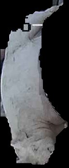 Crop