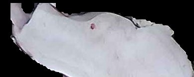 Crop