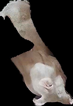 Crop
