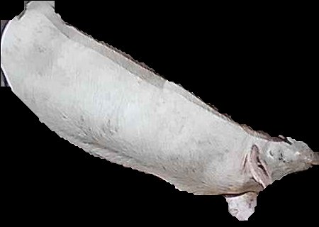 Crop