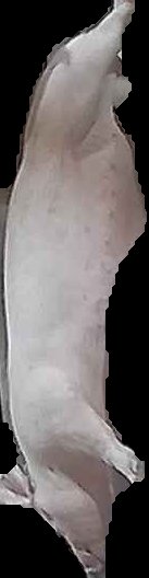 Crop