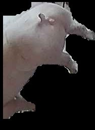 Crop