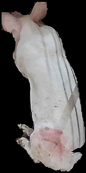 Crop