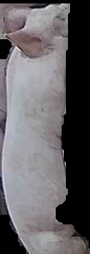 Crop