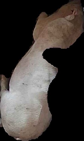 Crop