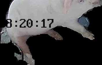 Crop