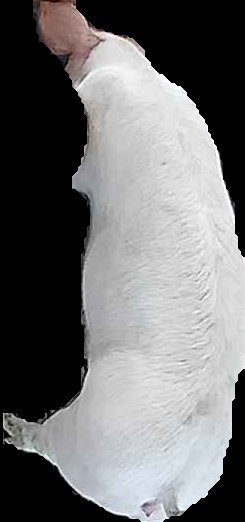 Crop