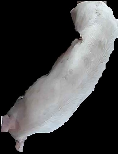 Crop