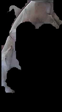 Crop