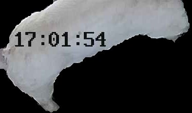 Crop