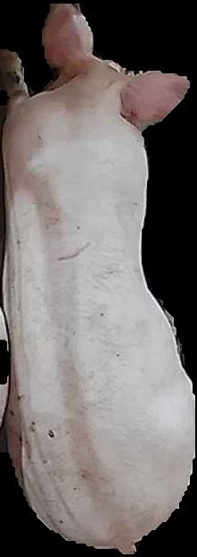 Crop