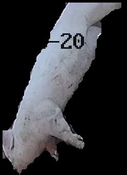 Crop