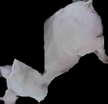 Crop