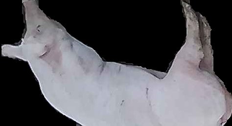 Crop