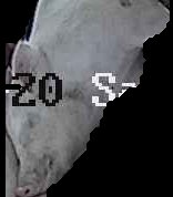 Crop