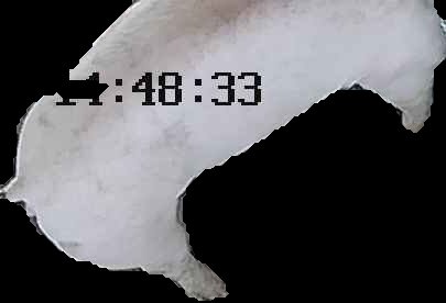 Crop
