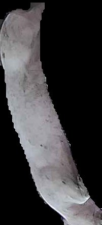 Crop