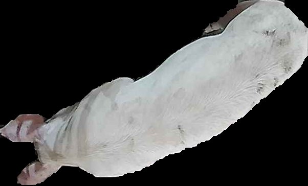 Crop