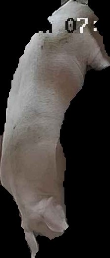 Crop