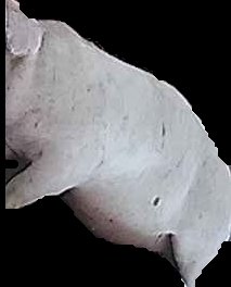 Crop