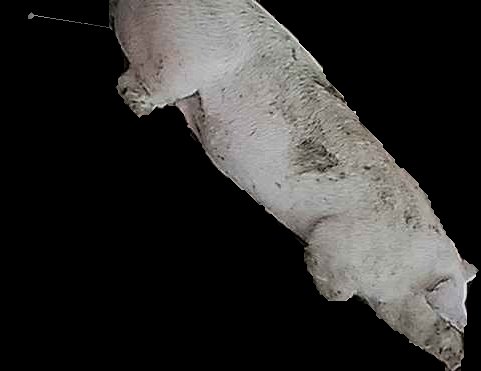 Crop