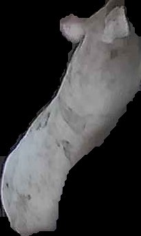 Crop