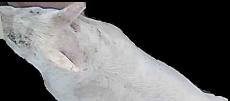 Crop