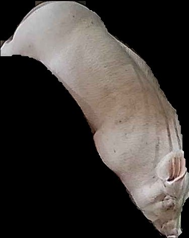 Crop
