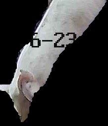 Crop