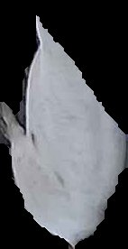 Crop