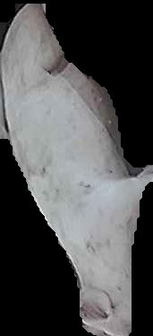 Crop