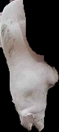 Crop